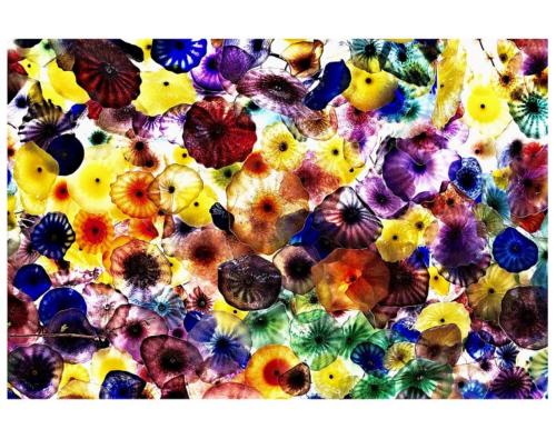John Lahiffe - Natures Colour