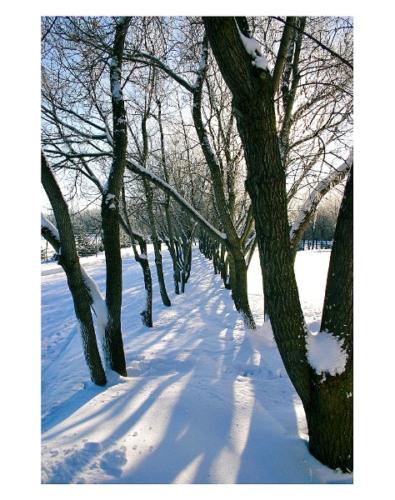 John Lahiffe - The Snow Path