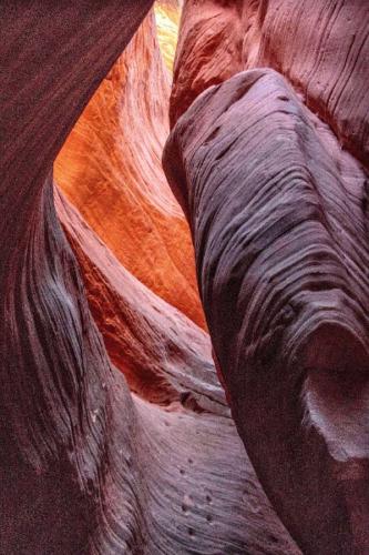 Penny Westmoreland - Moqui Steps in Canyon