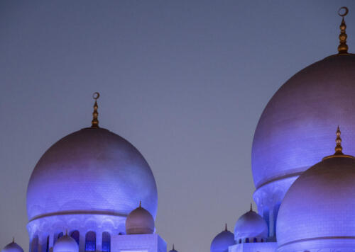 David Hicks - Grand Mosque Domes at Dusk