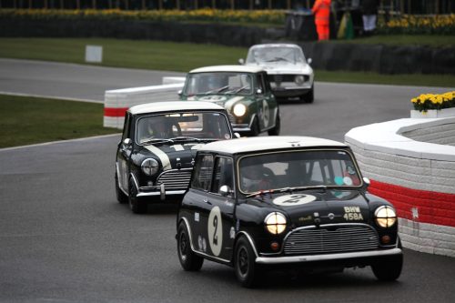 Battling Minis