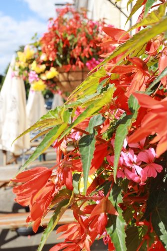 Pub Hanging Baskets