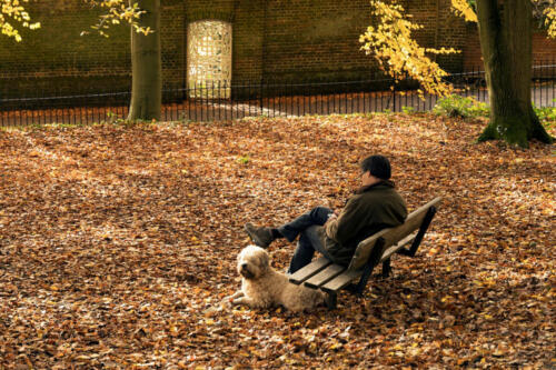 Relaxing on the Heath