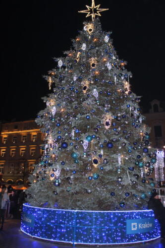 Paul Ryan - Krakow Tree