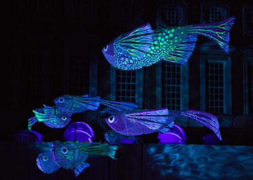Penny Westmoreland - Fish lanterns in Fountain Court